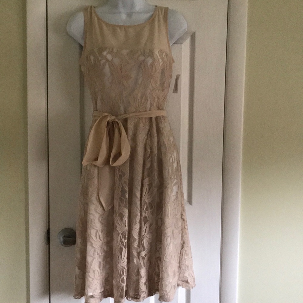 Brand New Cream/Ivory A Line Dress S 6